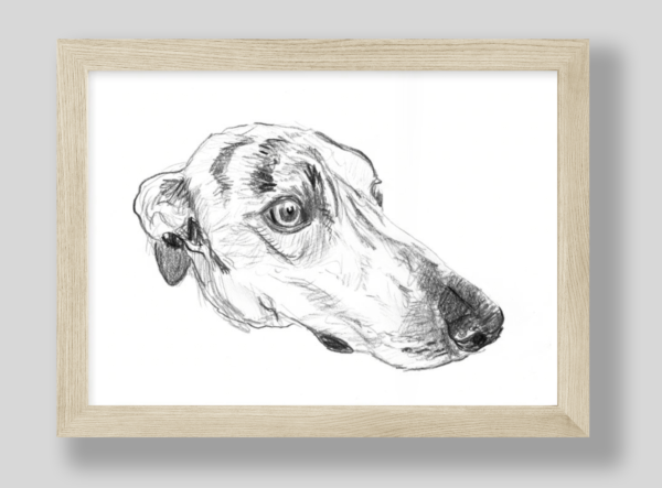 Art Print Greyhound Head